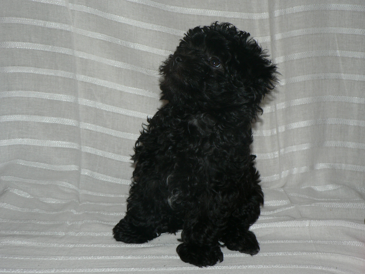 P1020109.JPG