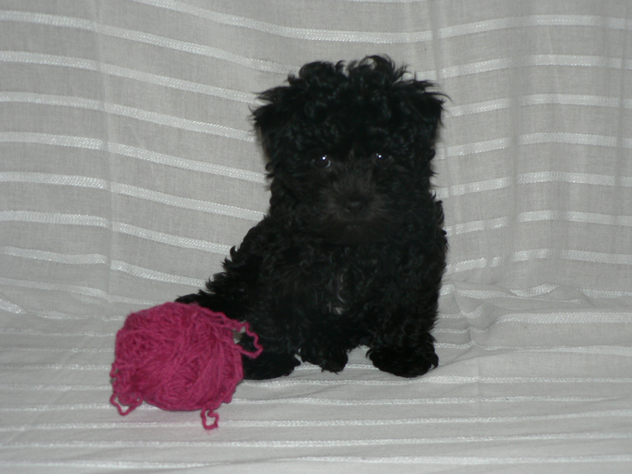 P1020111.JPG