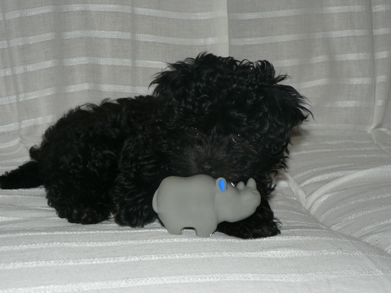 P1020116.JPG