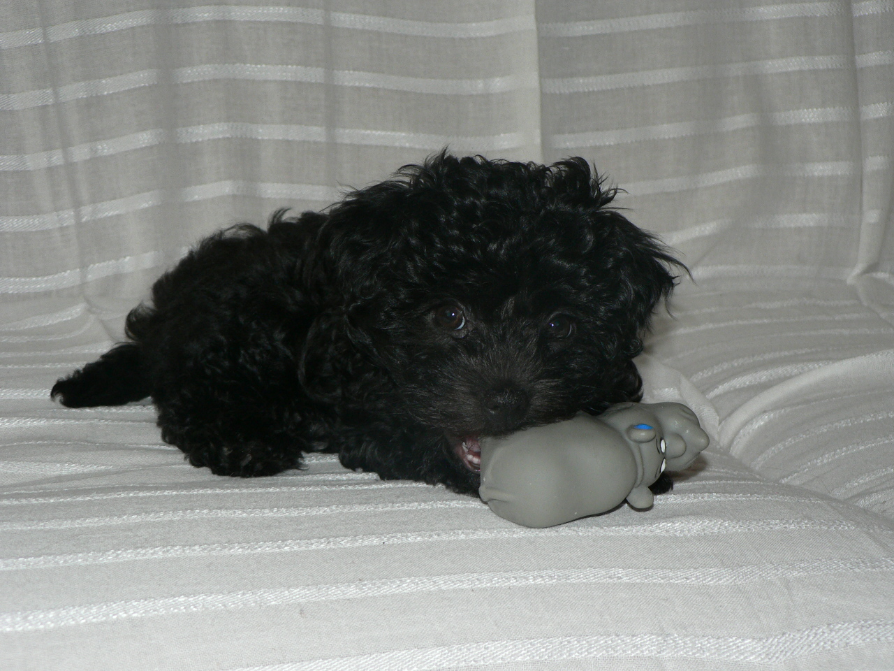 P1020117.JPG