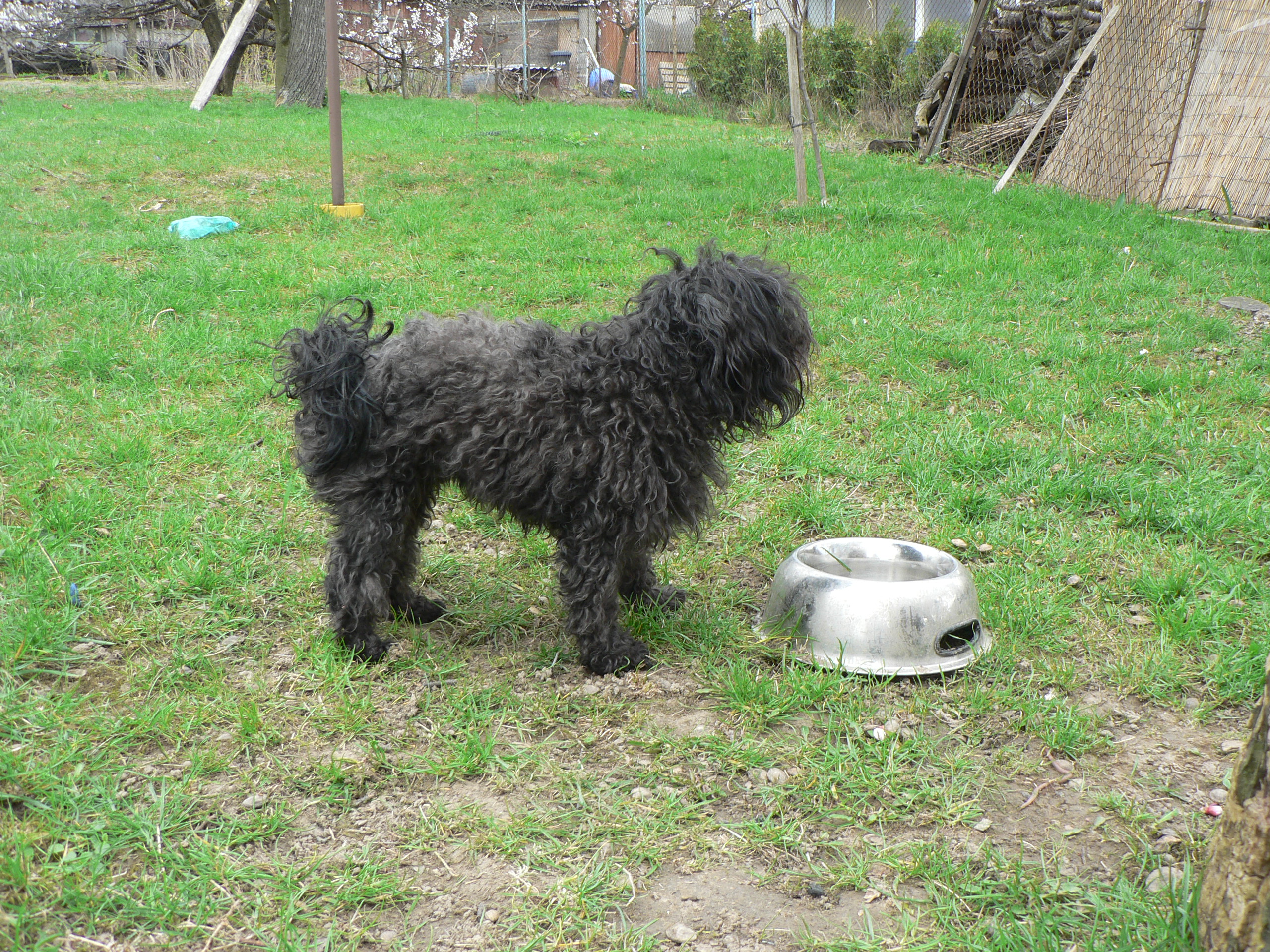 Zahrada 11.4.2010 014.JPG