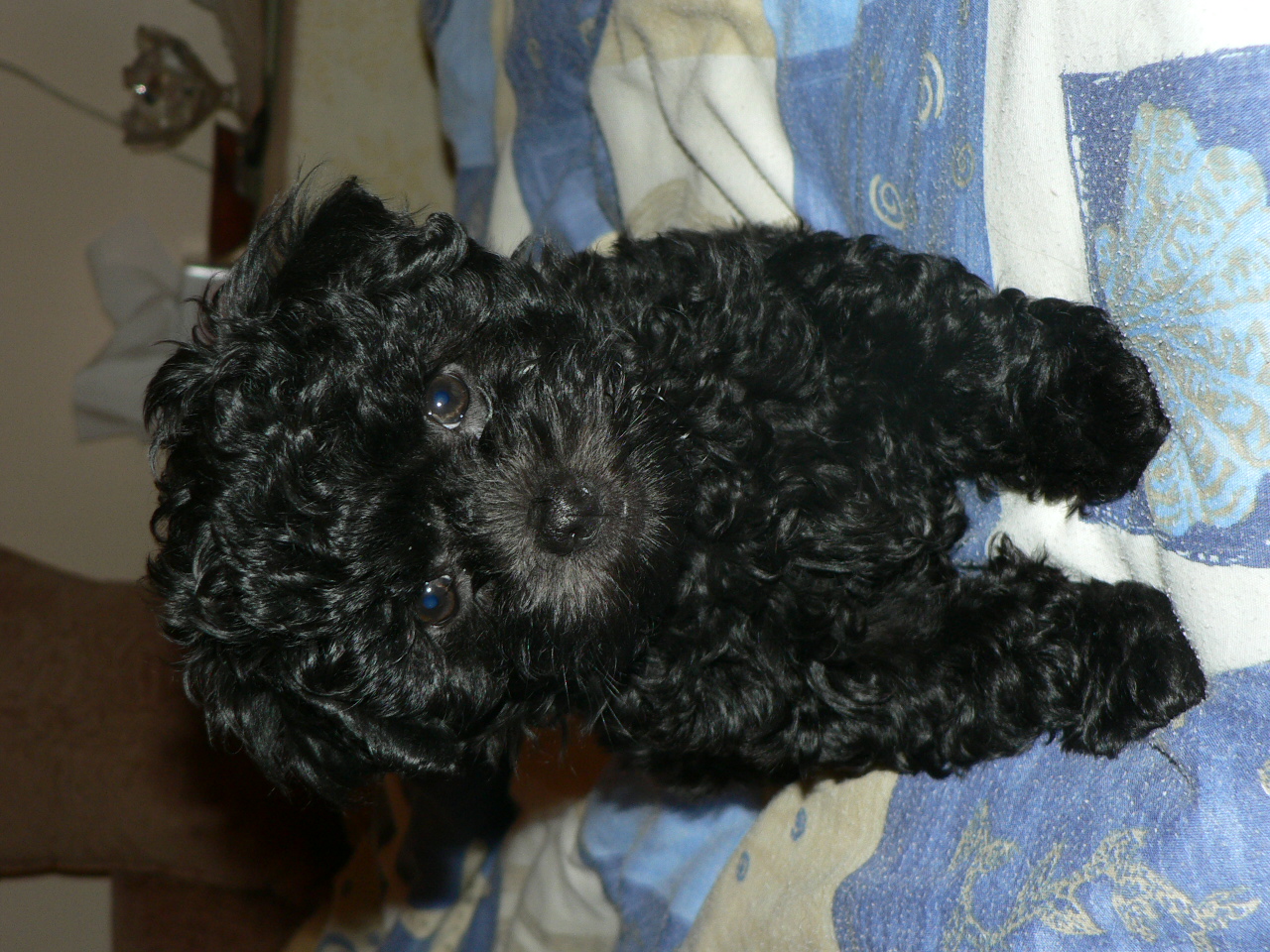 P1020105.JPG